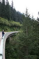 Glacier Bridge